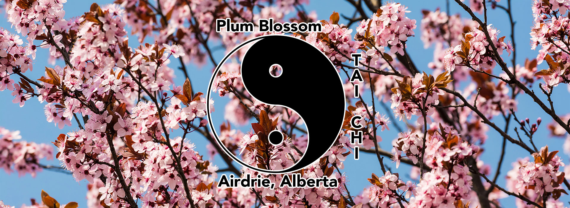 Sifu Peggy and her Plum Blossom Tai Chi students are happy to participate in local community events.